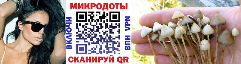 магазин продажи   Ржев  Псилоцибиновые грибы Magic Shrooms 